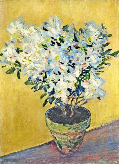 White Azaleas in a Pot (Azalées blanches en pot) Claude Monet